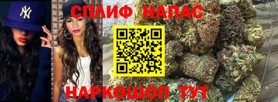 дживик Малгобек